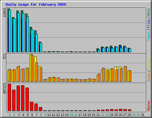 Daily usage for February 2025