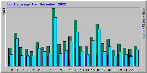 Hourly usage for December 2022