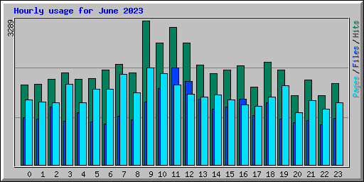 Hourly usage for June 2023