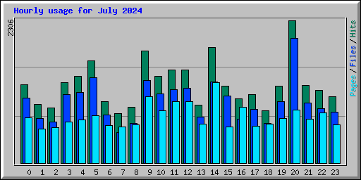 Hourly usage for July 2024