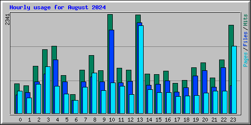 Hourly usage for August 2024
