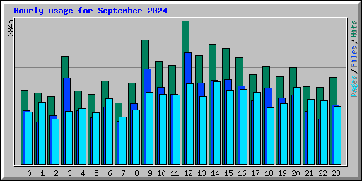 Hourly usage for September 2024