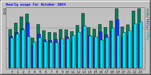 Hourly usage for October 2024