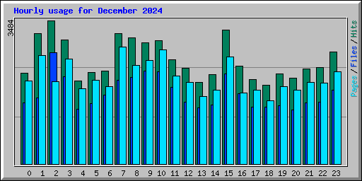 Hourly usage for December 2024