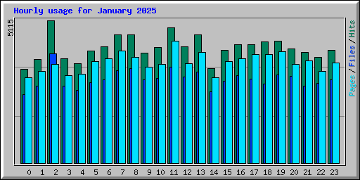 Hourly usage for January 2025