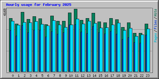 Hourly usage for February 2025