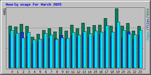 Hourly usage for March 2025