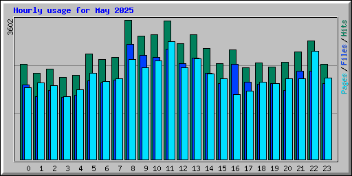Hourly usage for May 2025