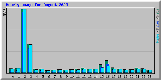 Hourly usage for August 2025