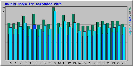 Hourly usage for September 2025