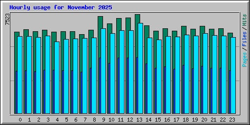 Hourly usage for November 2025