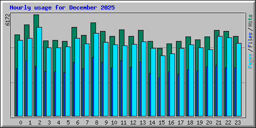 Hourly usage for December 2025