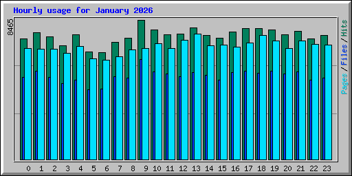 Hourly usage for January 2026