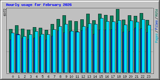 Hourly usage for February 2026