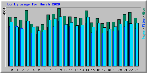 Hourly usage for March 2026