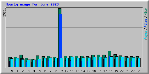Hourly usage for June 2026