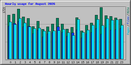 Hourly usage for August 2026