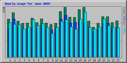 Hourly usage for June 2025