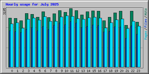 Hourly usage for July 2025
